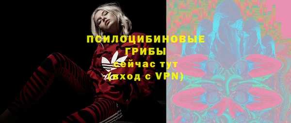 дживик Белоозёрский