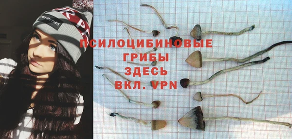 COCAINE Богданович