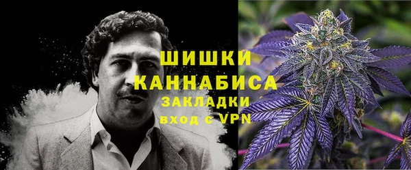 эйфоретик Белокуриха