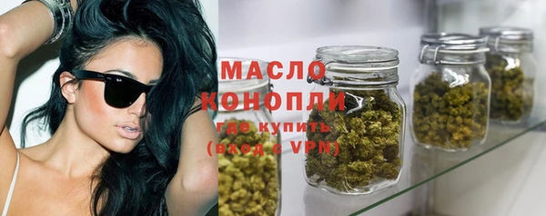 дживик Богородицк