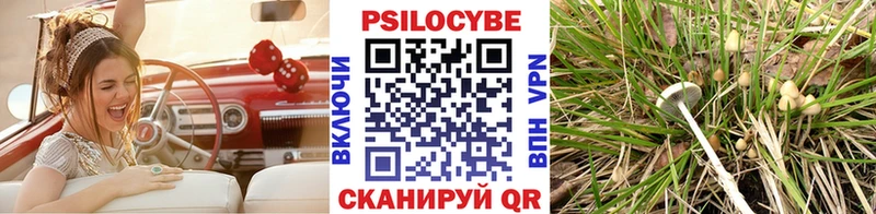 Псилоцибиновые грибы Psilocybine cubensis  дарнет шоп  Долгопрудный 